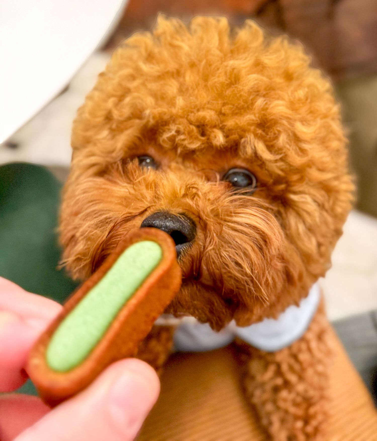 Delamour - Territoire, logotype, packaging, direction de création, normalisation - Laurent Muller, Brand identity