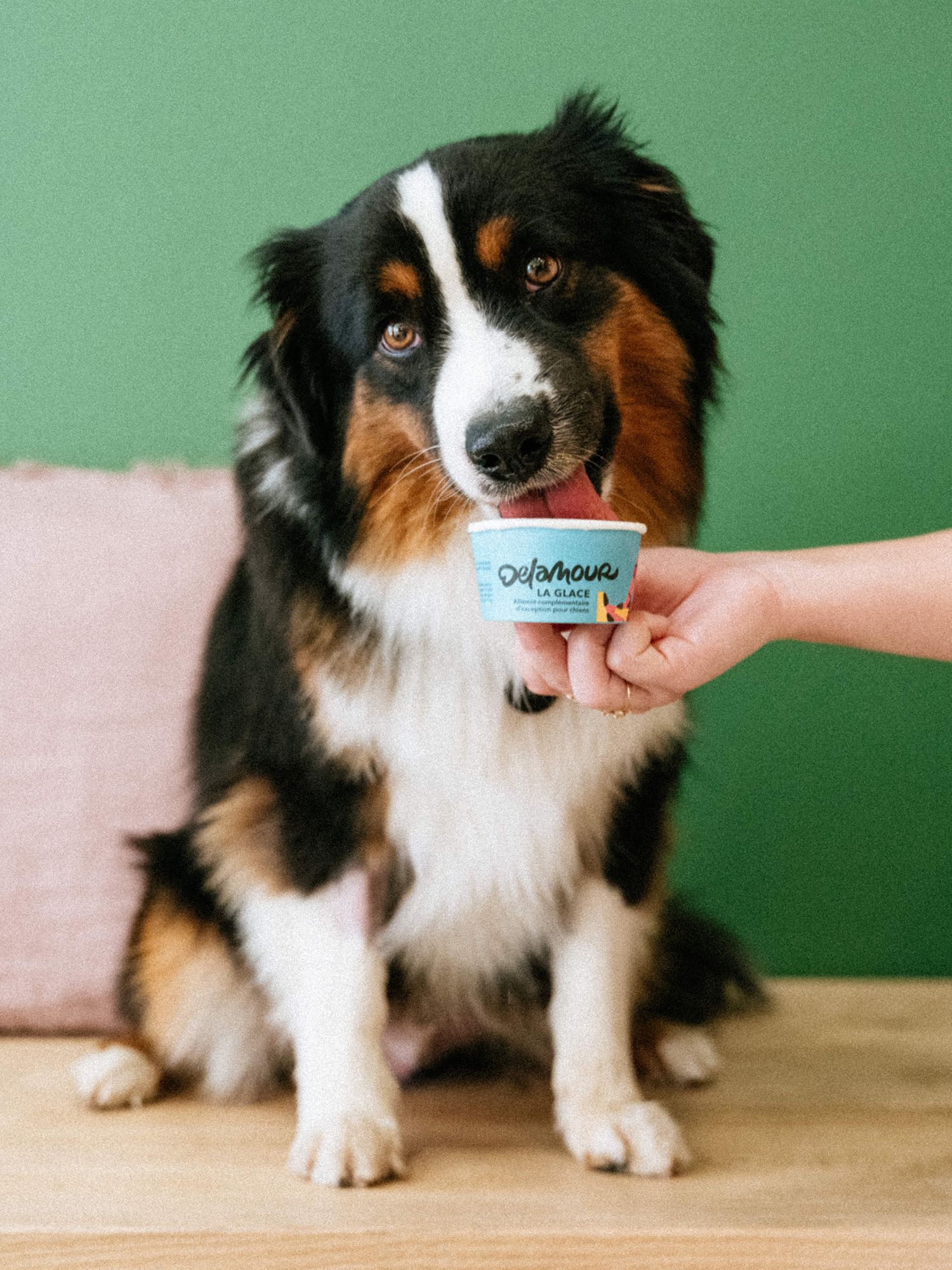 Delamour - Territoire, logotype, packaging, direction de création, normalisation - Laurent Muller, Brand identity