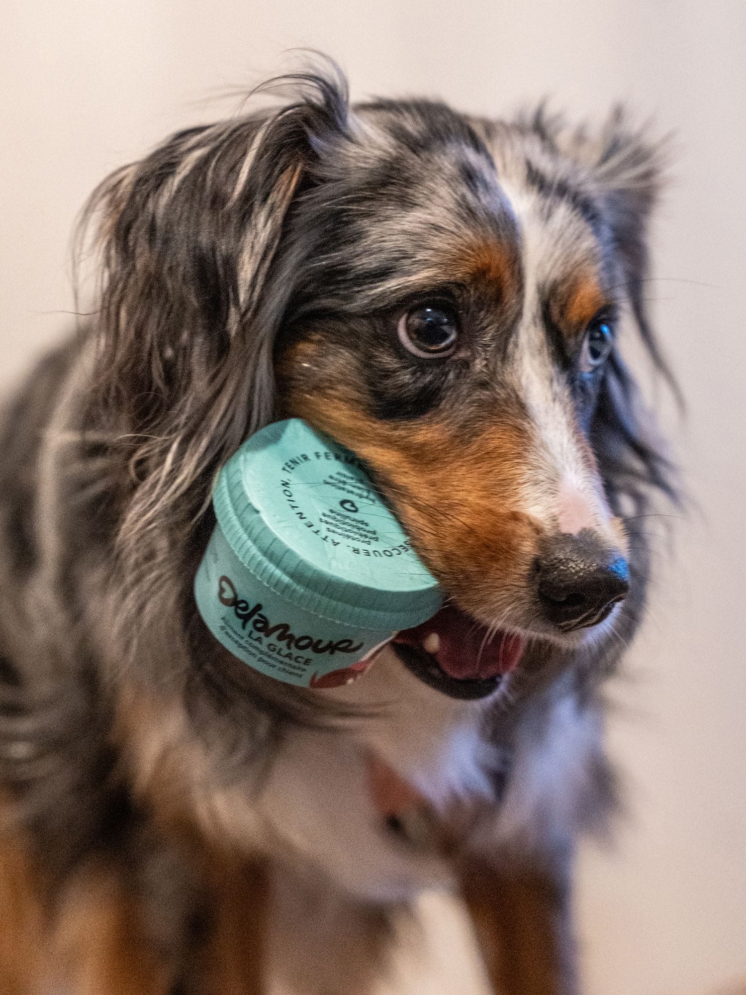 Delamour - Territoire, logotype, packaging, direction de création, normalisation - Laurent Muller, Brand identity