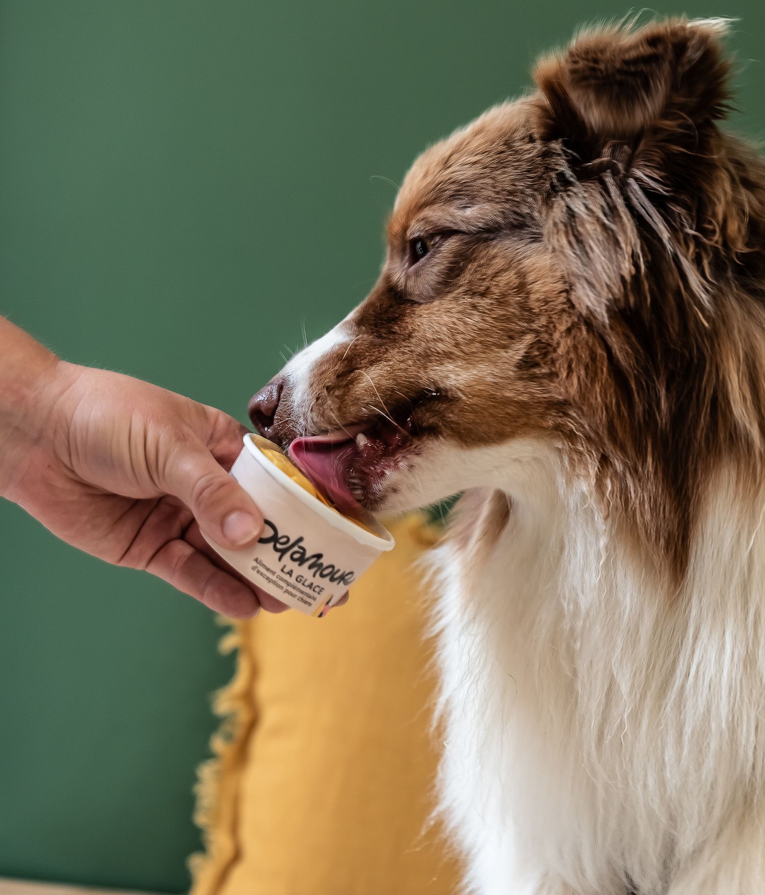 Delamour - Territoire, logotype, packaging, direction de création, normalisation - Laurent Muller, Brand identity