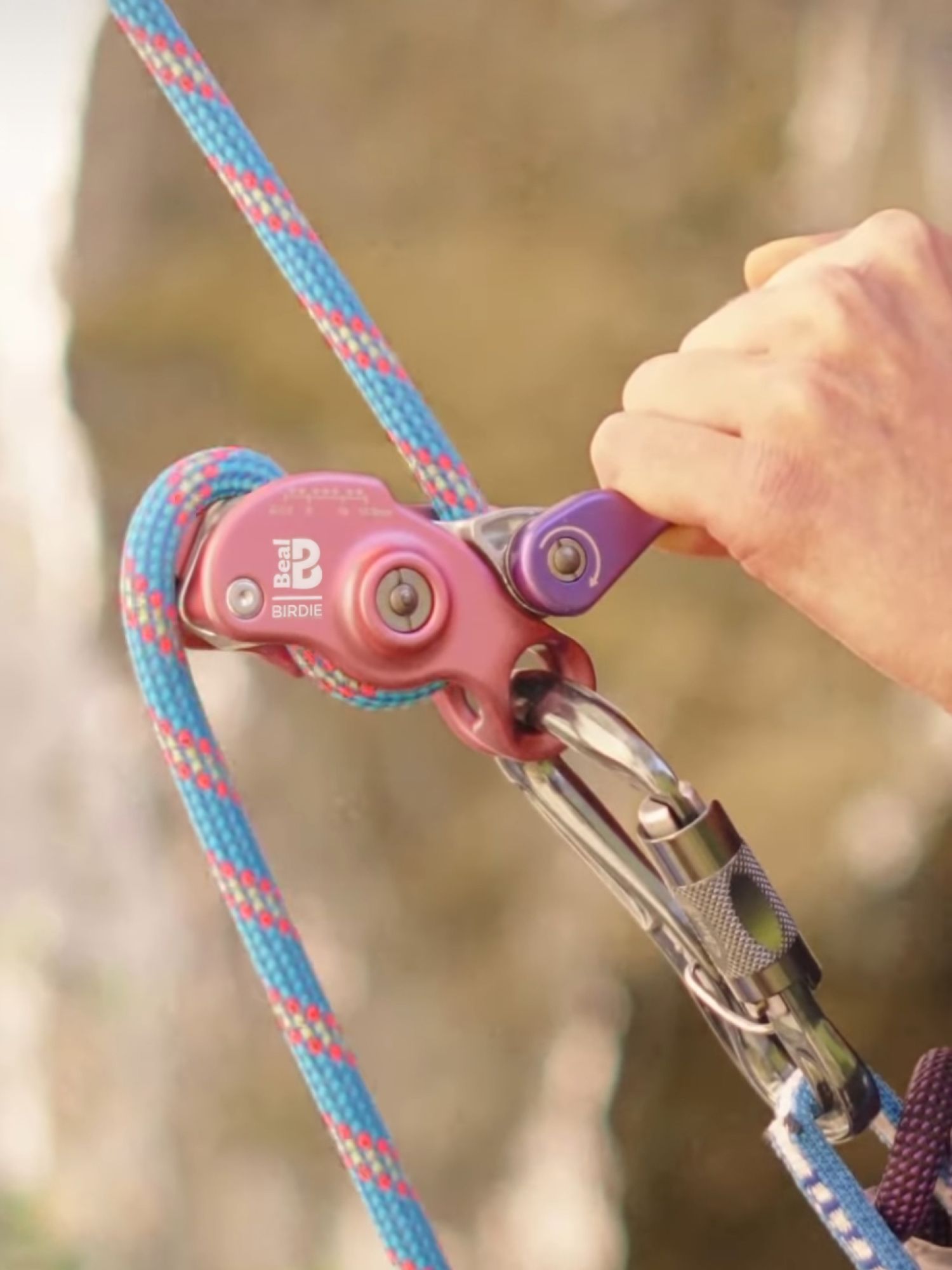 Beal - Plateforme, logotype, territoire, normalisation - Laurent Muller, Brand identity