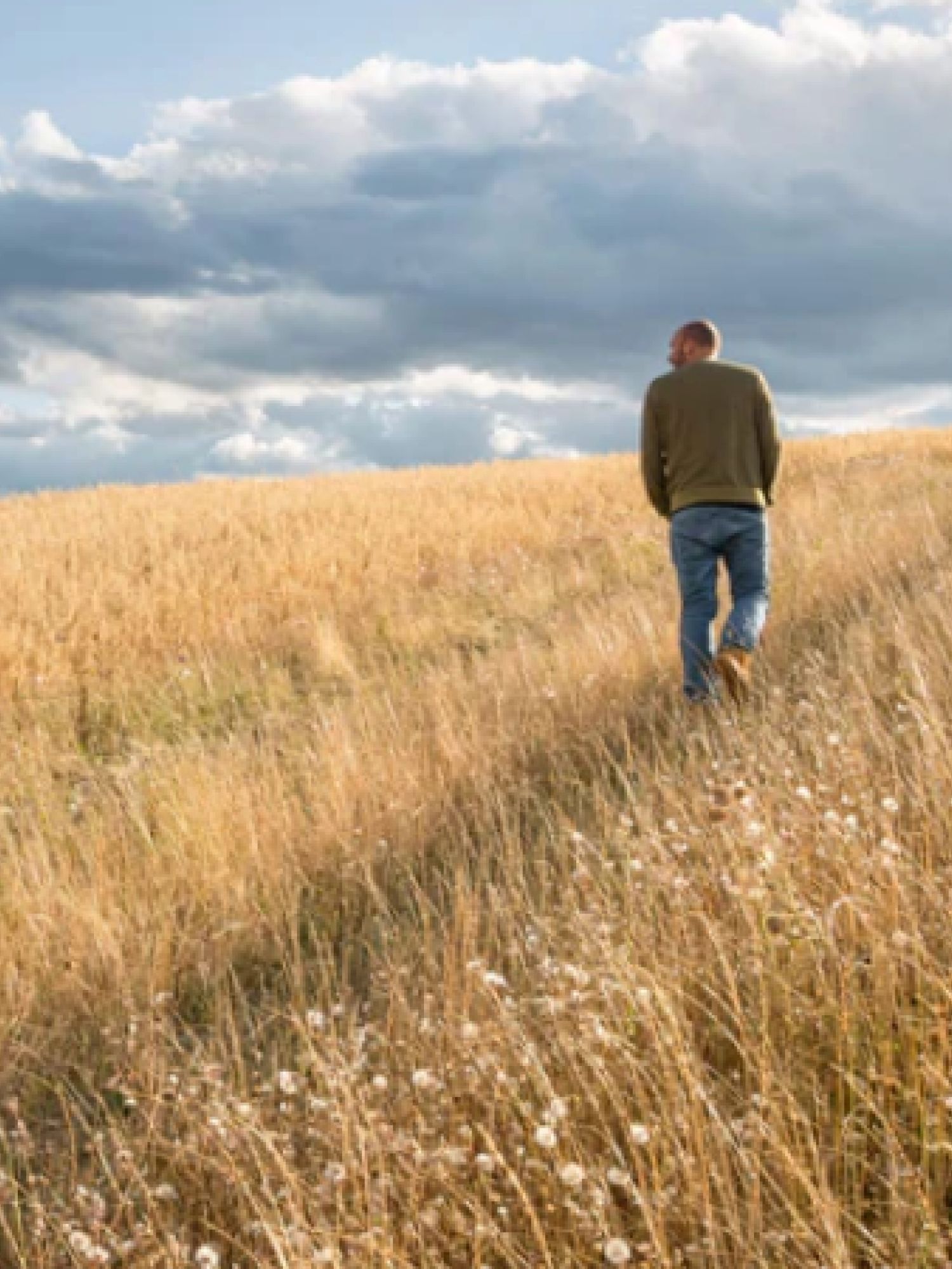 Hautes Glaces - Plateforme, logotype, territoire, packaging, photo, signe, charte - Laurent Muller, Brand identity