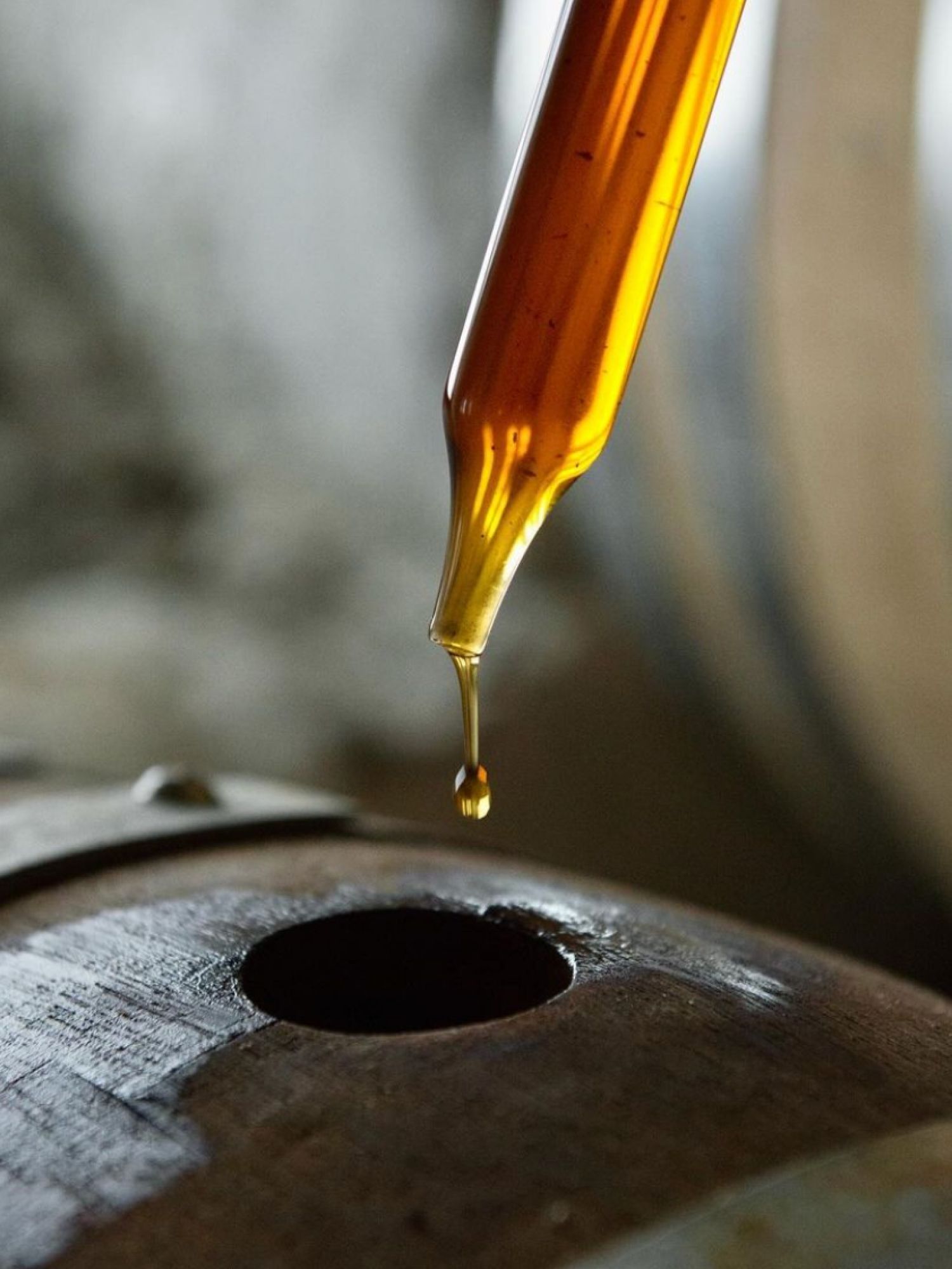 Hautes Glaces - Plateforme, logotype, territoire, packaging, photo, signe, charte - Laurent Muller, Brand identity