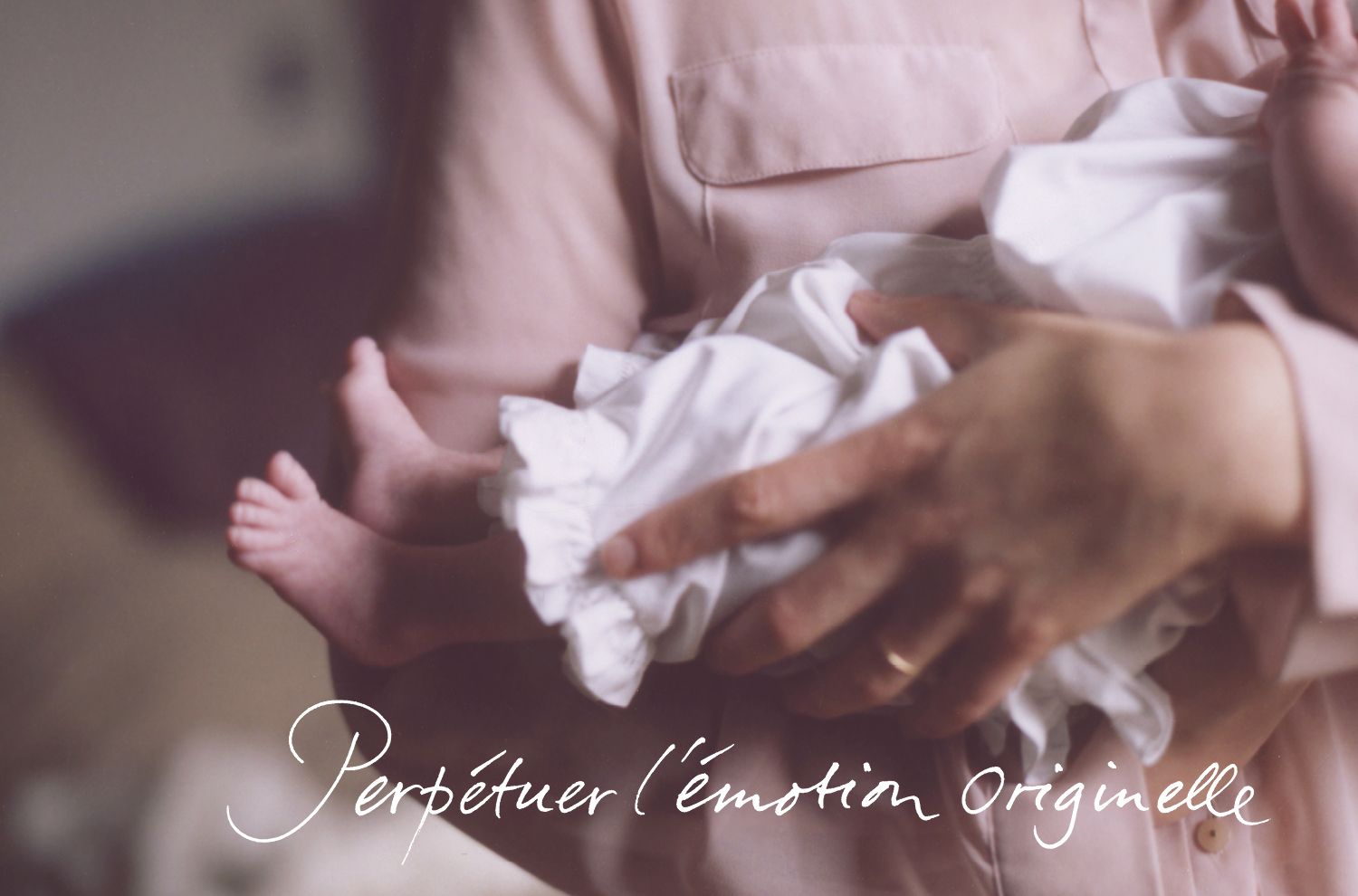 Ovale - Logotype, territoire, normalisation, livre de marque - Laurent Muller, Brand identity