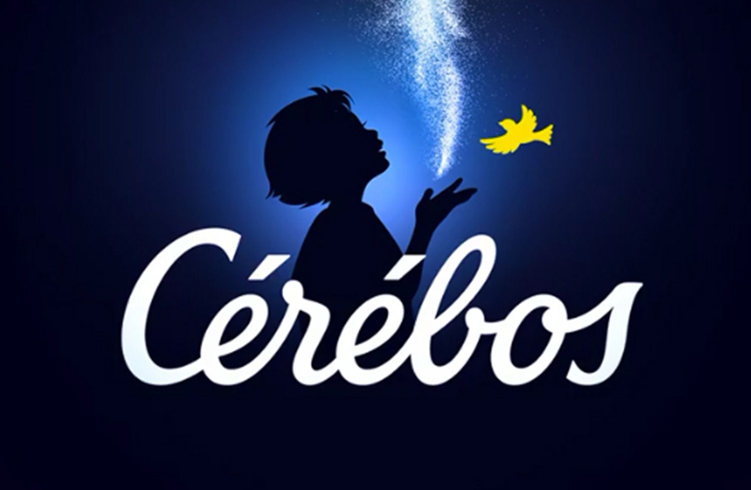 Cérébos - Typographie - Laurent Muller, Brand identity