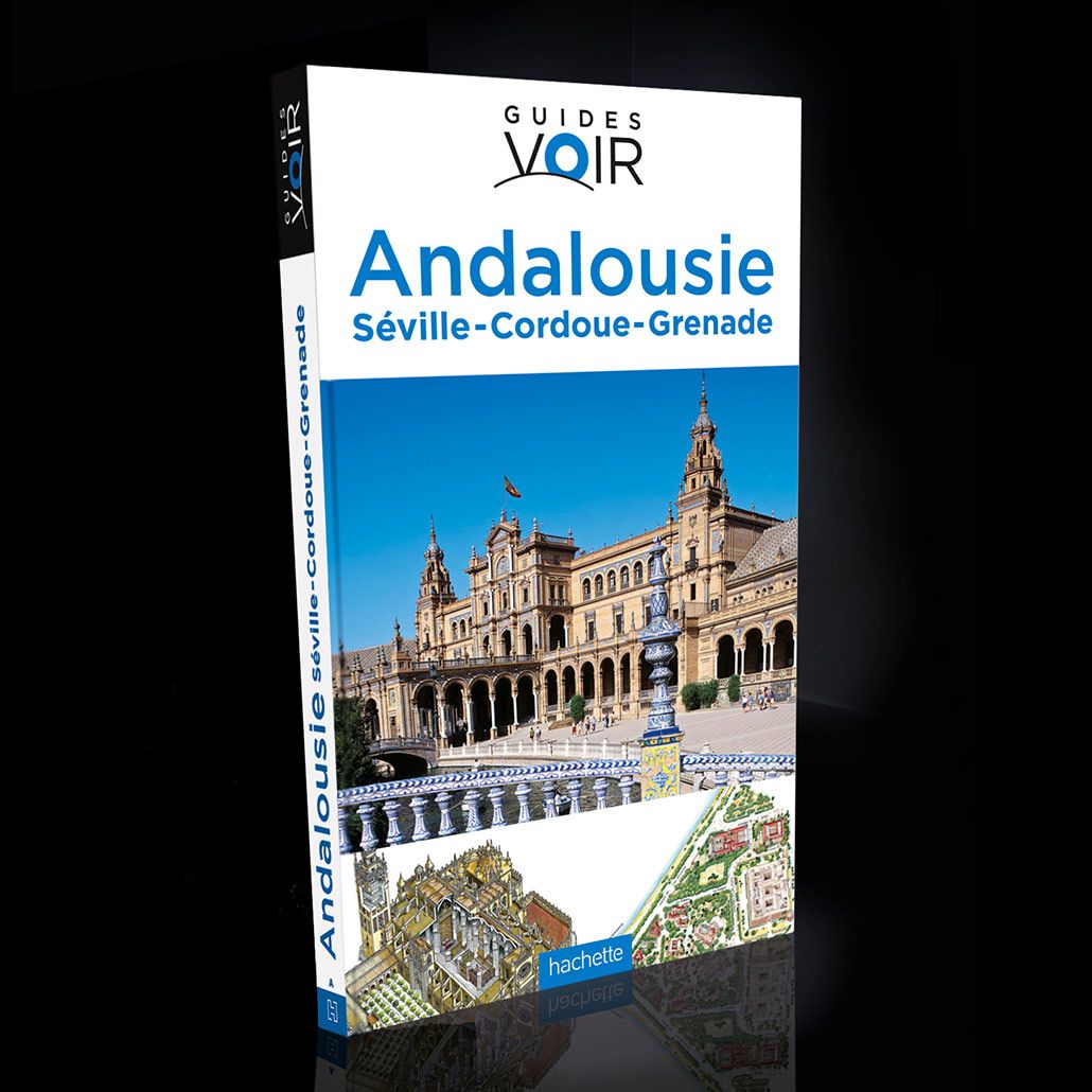 Guides Voir Hachette - Édition - Laurent Muller, Brand Identity