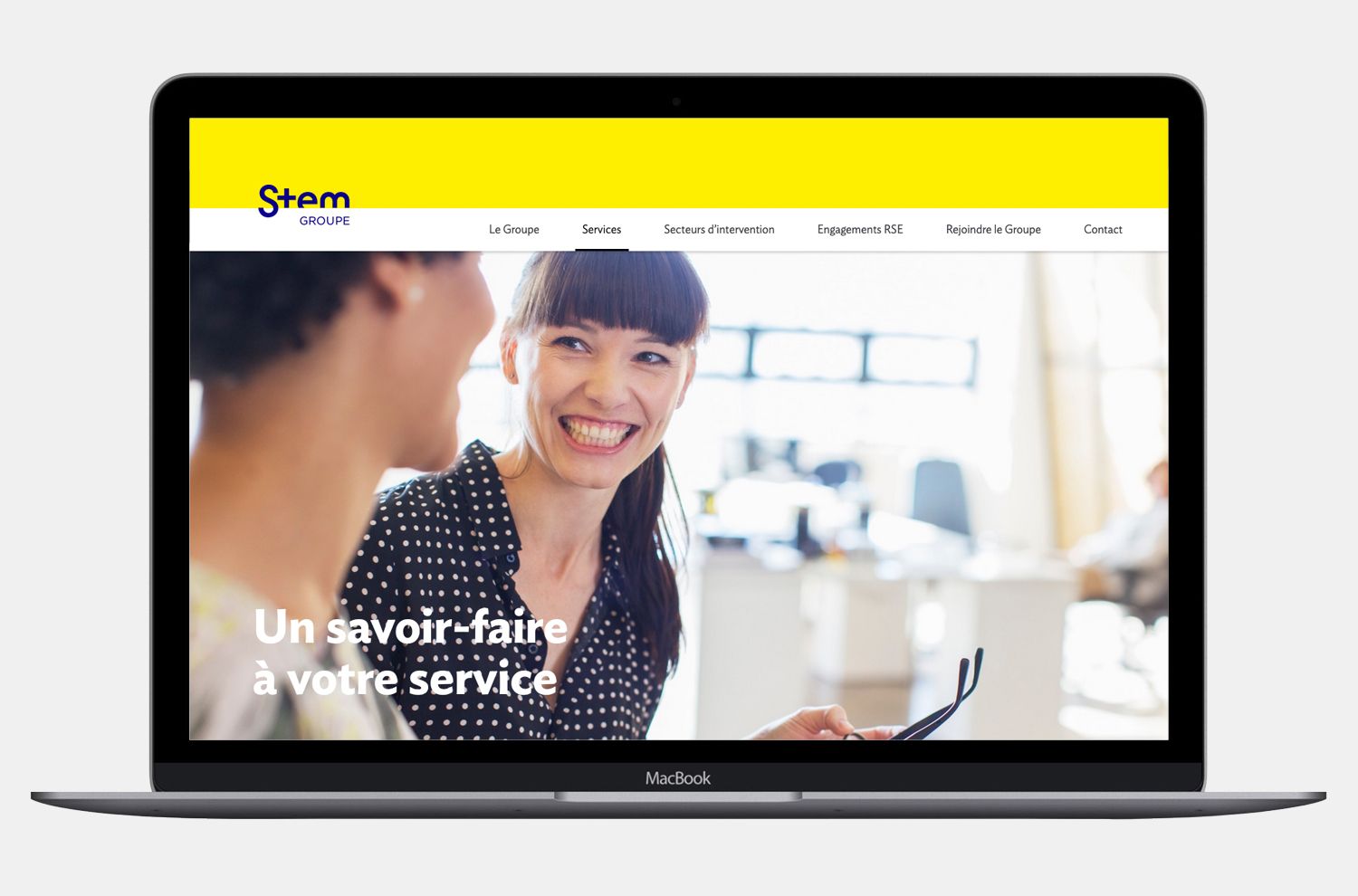 Stem Groupe - Description du projet - Laurent Muller, Brand identity