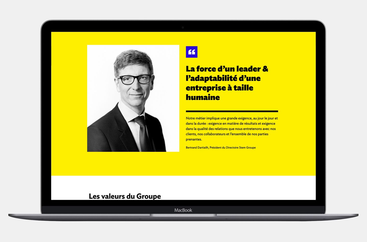 Stem Groupe - Description du projet - Laurent Muller, Brand identity