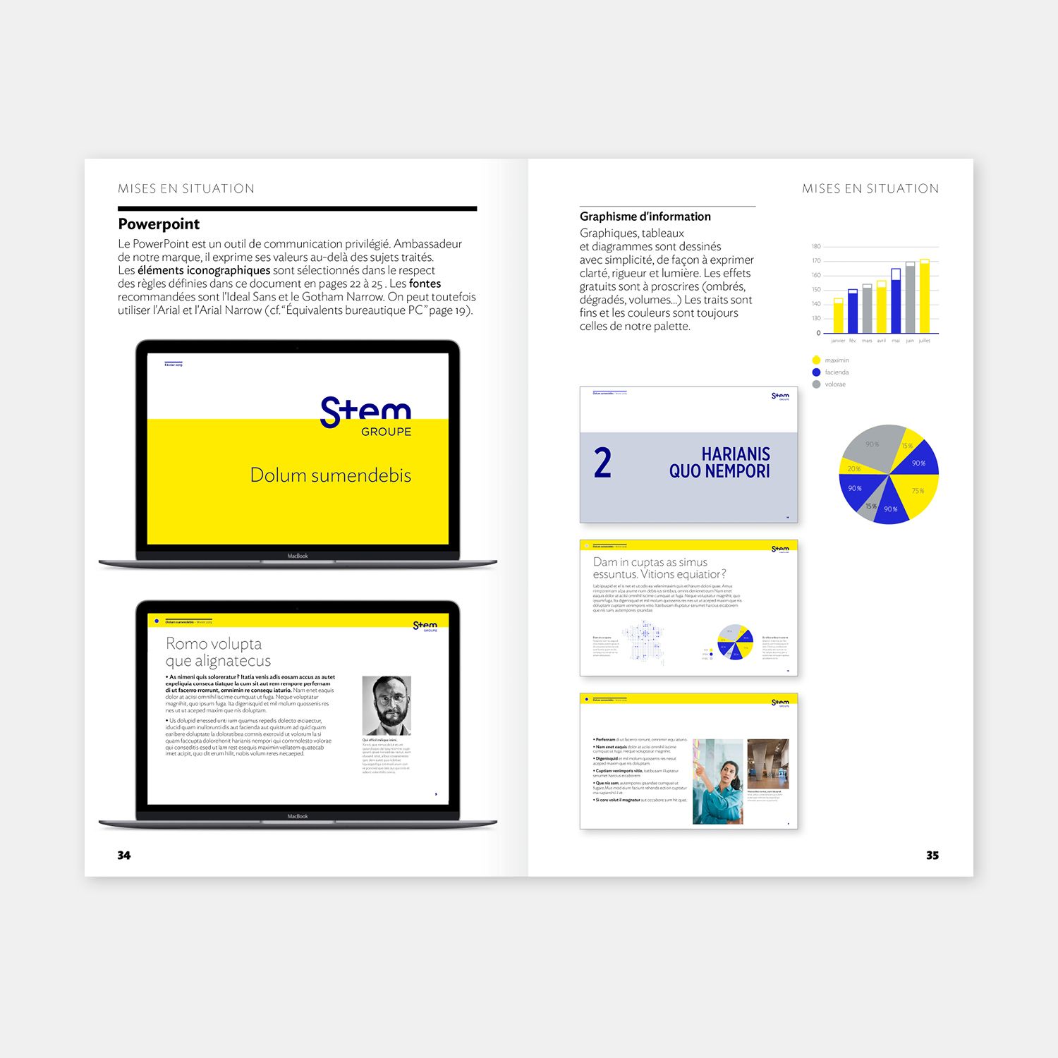 Stem Groupe - Description du projet - Laurent Muller, Brand identity