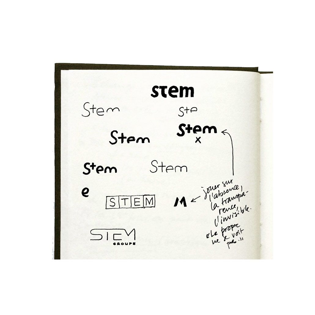 Stem Groupe - Description du projet - Laurent Muller, Brand identity