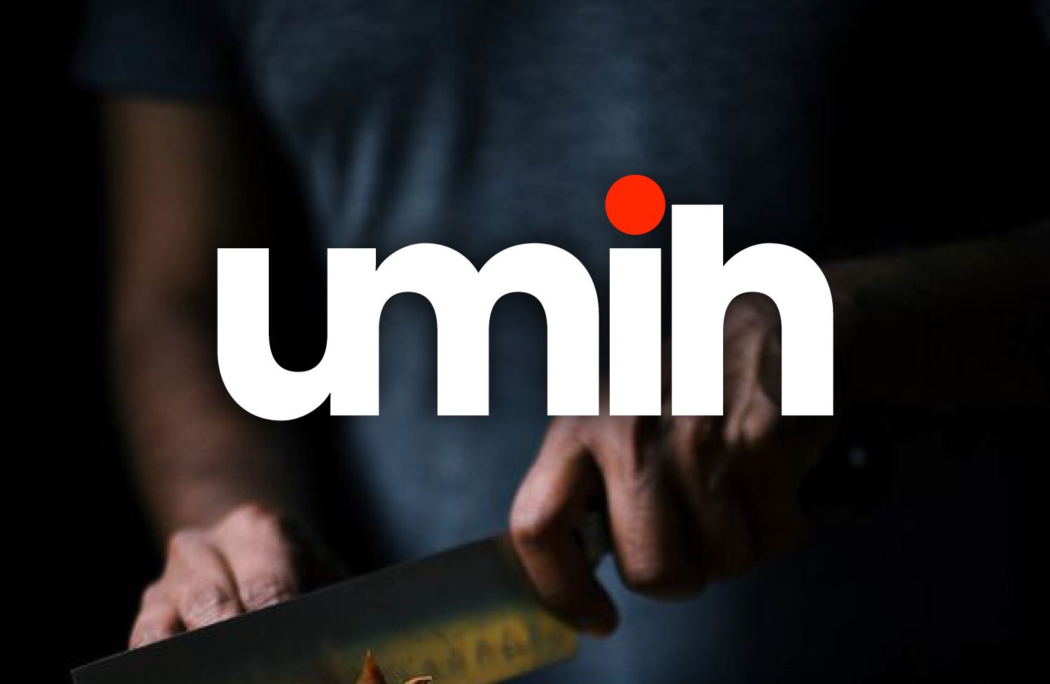 Umih - logotype, architecture de marque et système graphique, normalisation - Laurent Muller, Brand identity