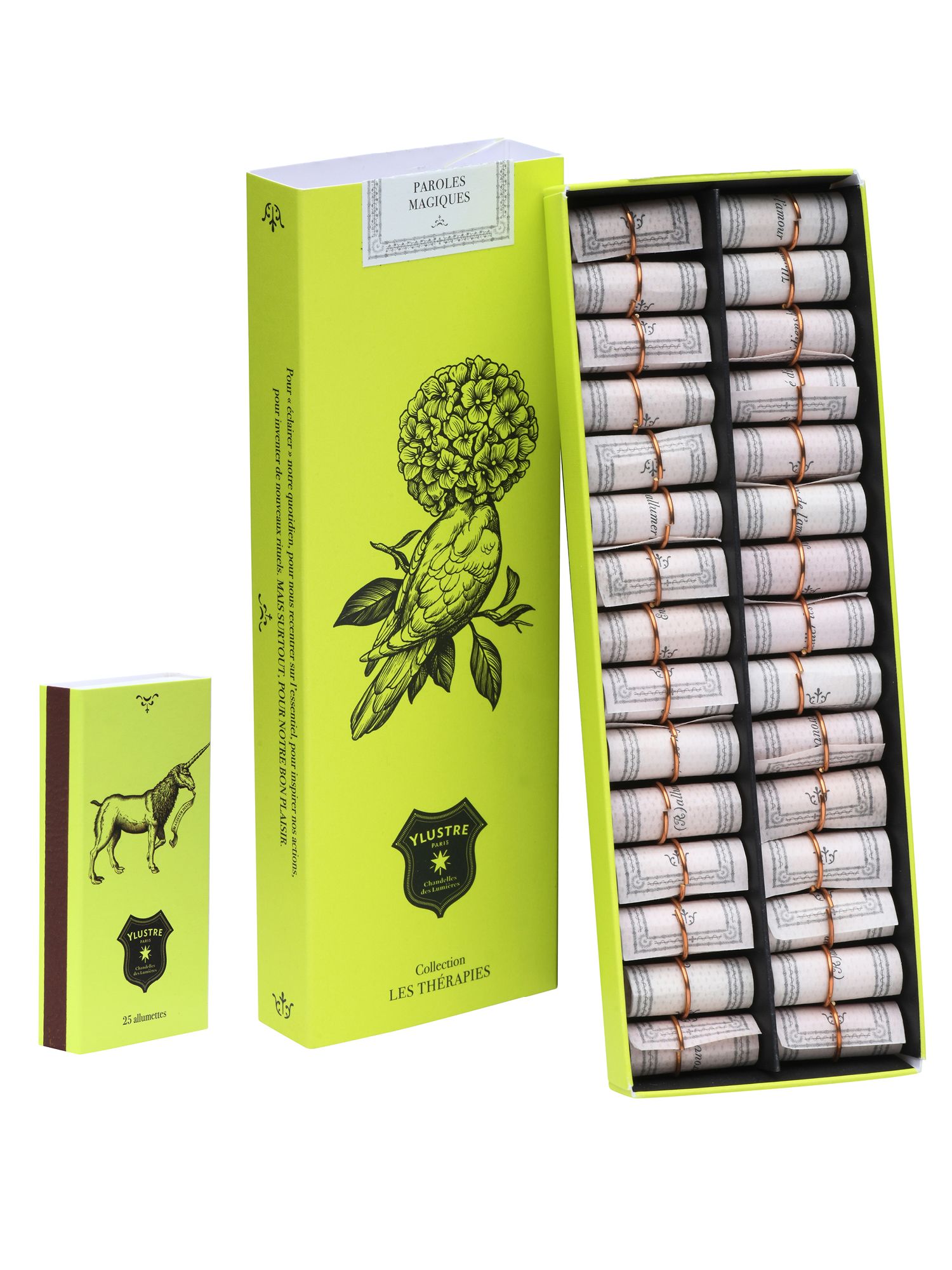 Ylustre - Plateforme visuelle, logotype, territoire, packaging, direction de creation - Laurent Muller, Brand identity