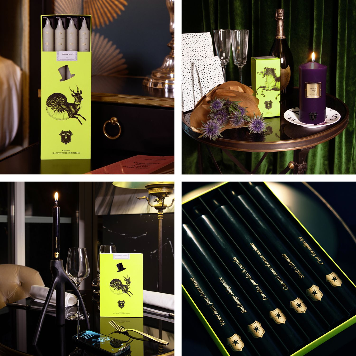 Ylustre - Plateforme visuelle, logotype, territoire, packaging, direction de creation - Laurent Muller, Brand identity