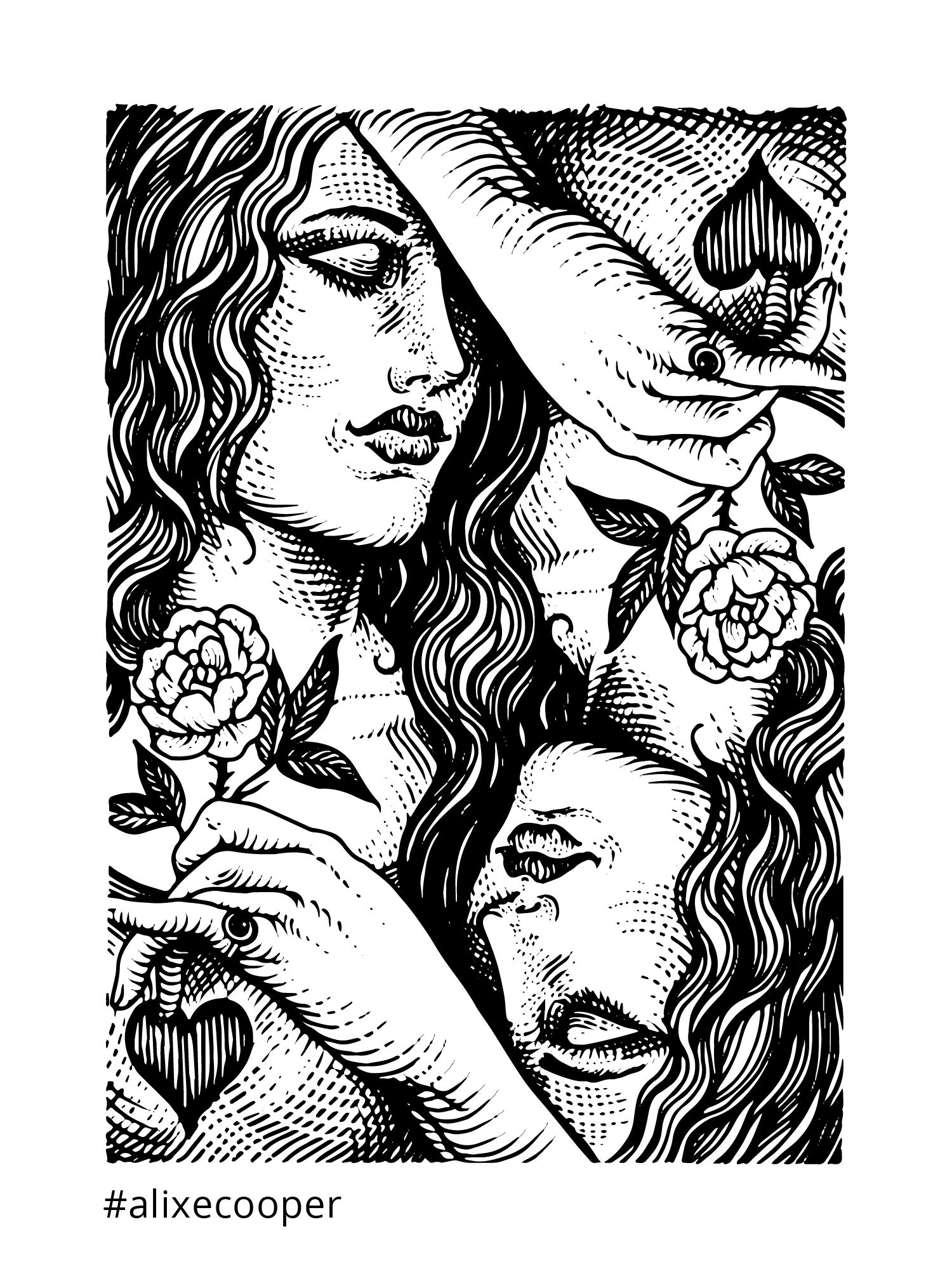 Ylustre - Plateforme visuelle, logotype, territoire, packaging, direction de creation - Laurent Muller, Brand identity