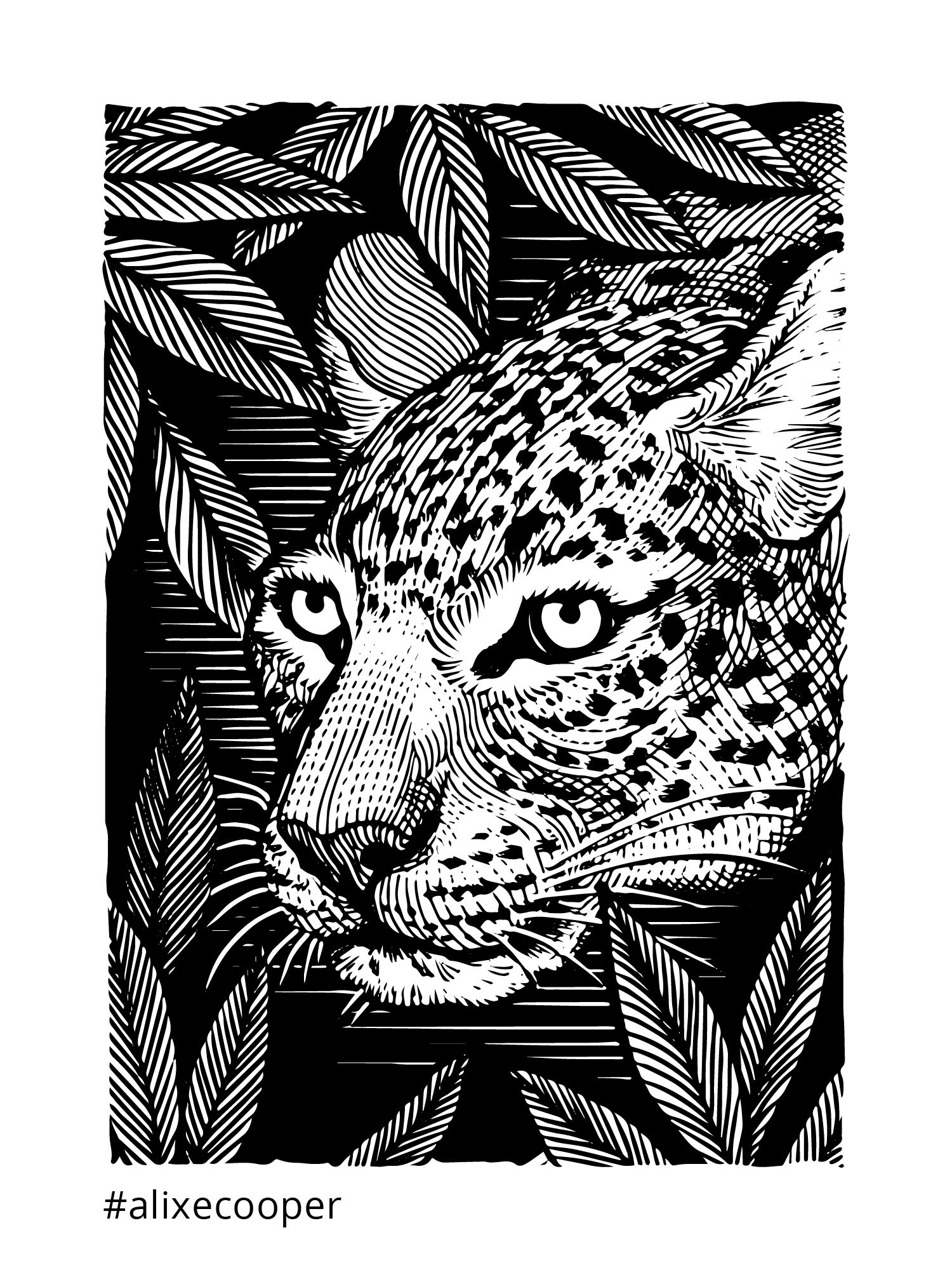 Ylustre - Plateforme visuelle, logotype, territoire, packaging, direction de creation - Laurent Muller, Brand identity