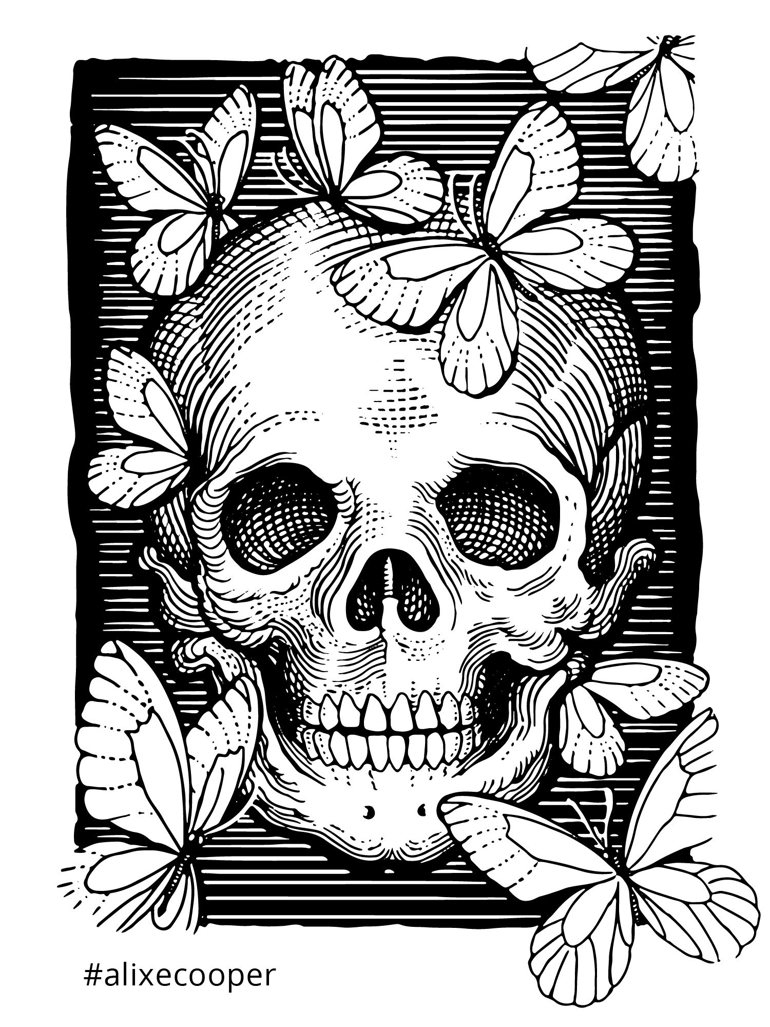 Ylustre - Plateforme visuelle, logotype, territoire, packaging, direction de creation - Laurent Muller, Brand identity