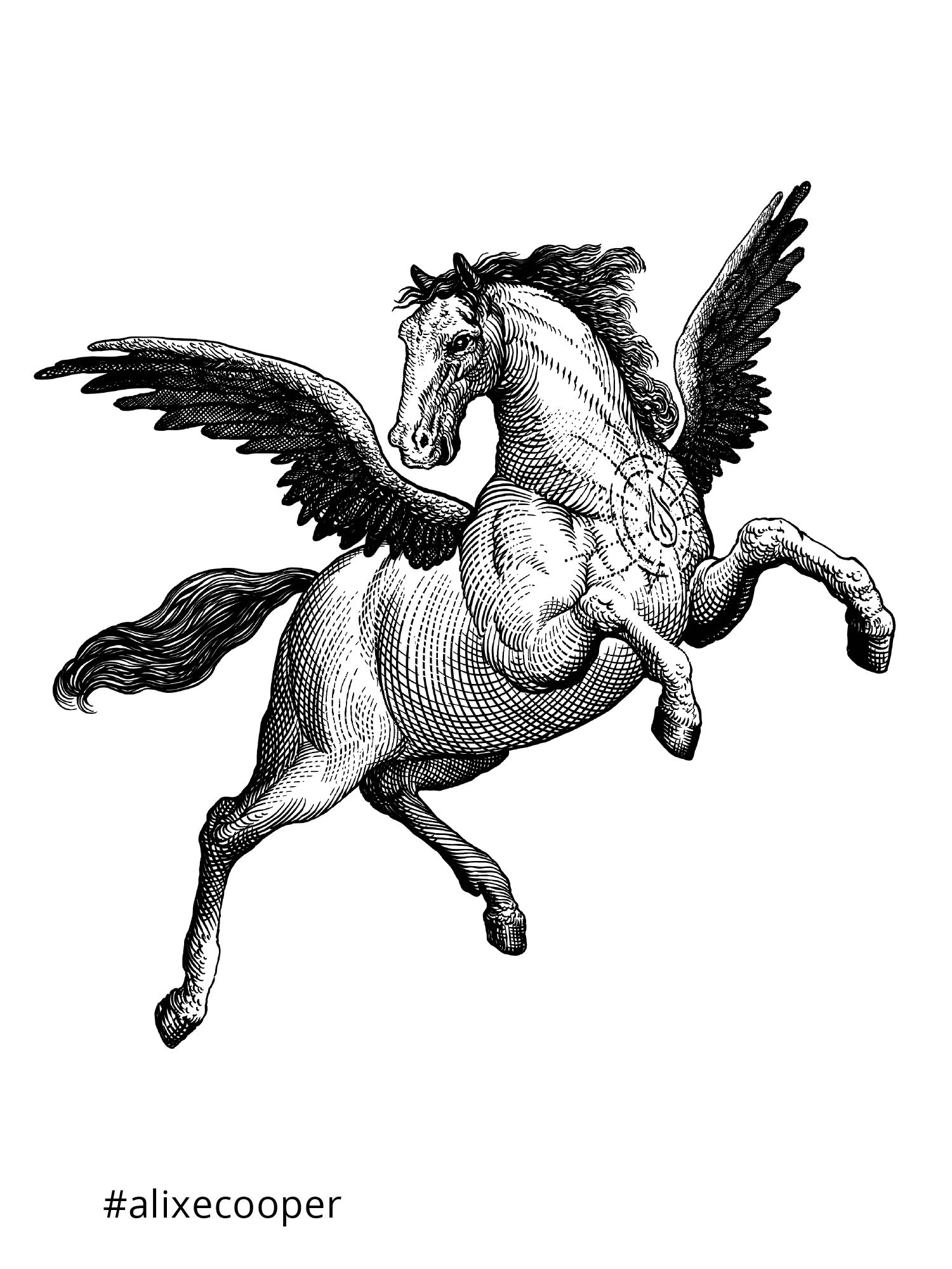 Ylustre - Plateforme visuelle, logotype, territoire, packaging, direction de creation - Laurent Muller, Brand identity