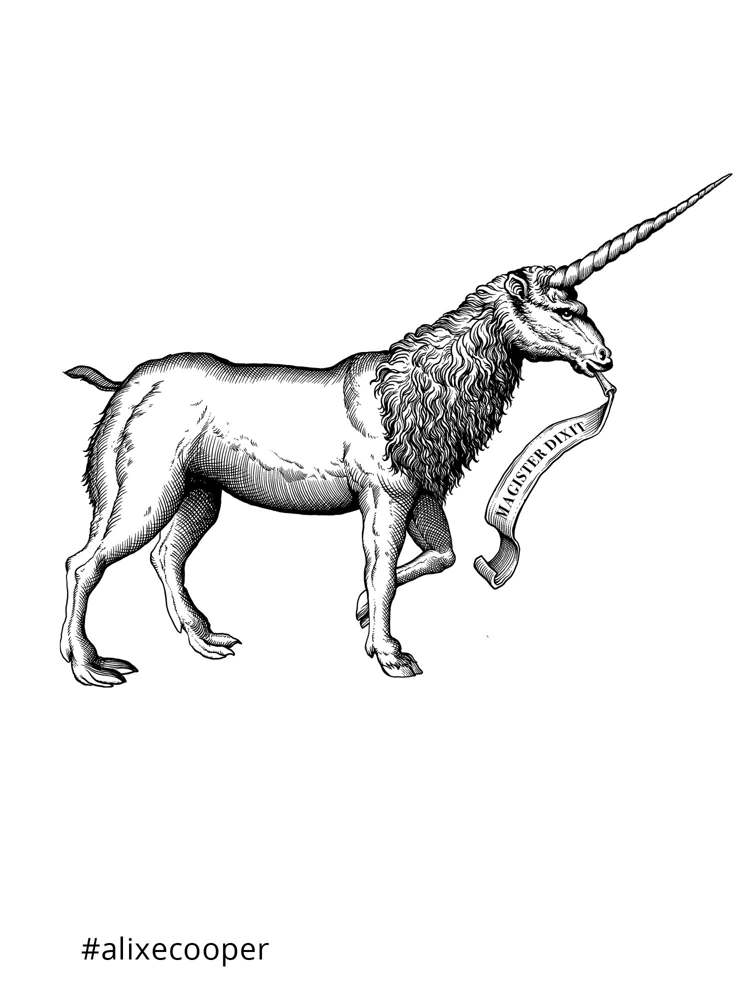 Ylustre - Plateforme visuelle, logotype, territoire, packaging, direction de creation - Laurent Muller, Brand identity