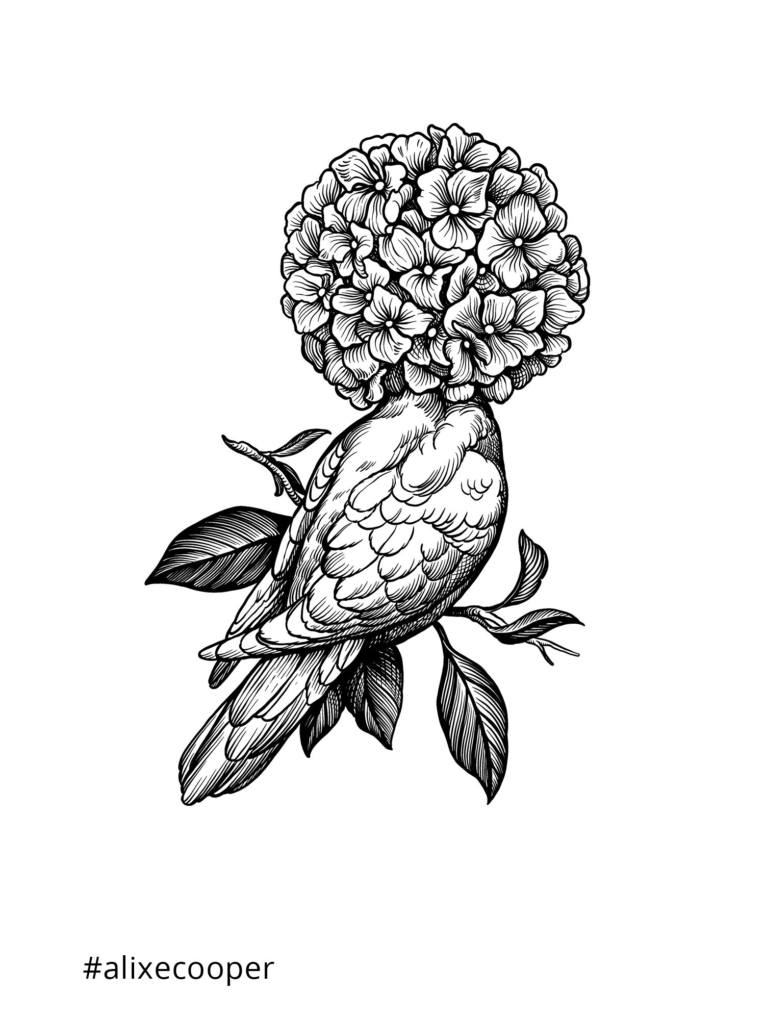 Ylustre - Plateforme visuelle, logotype, territoire, packaging, direction de creation - Laurent Muller, Brand identity