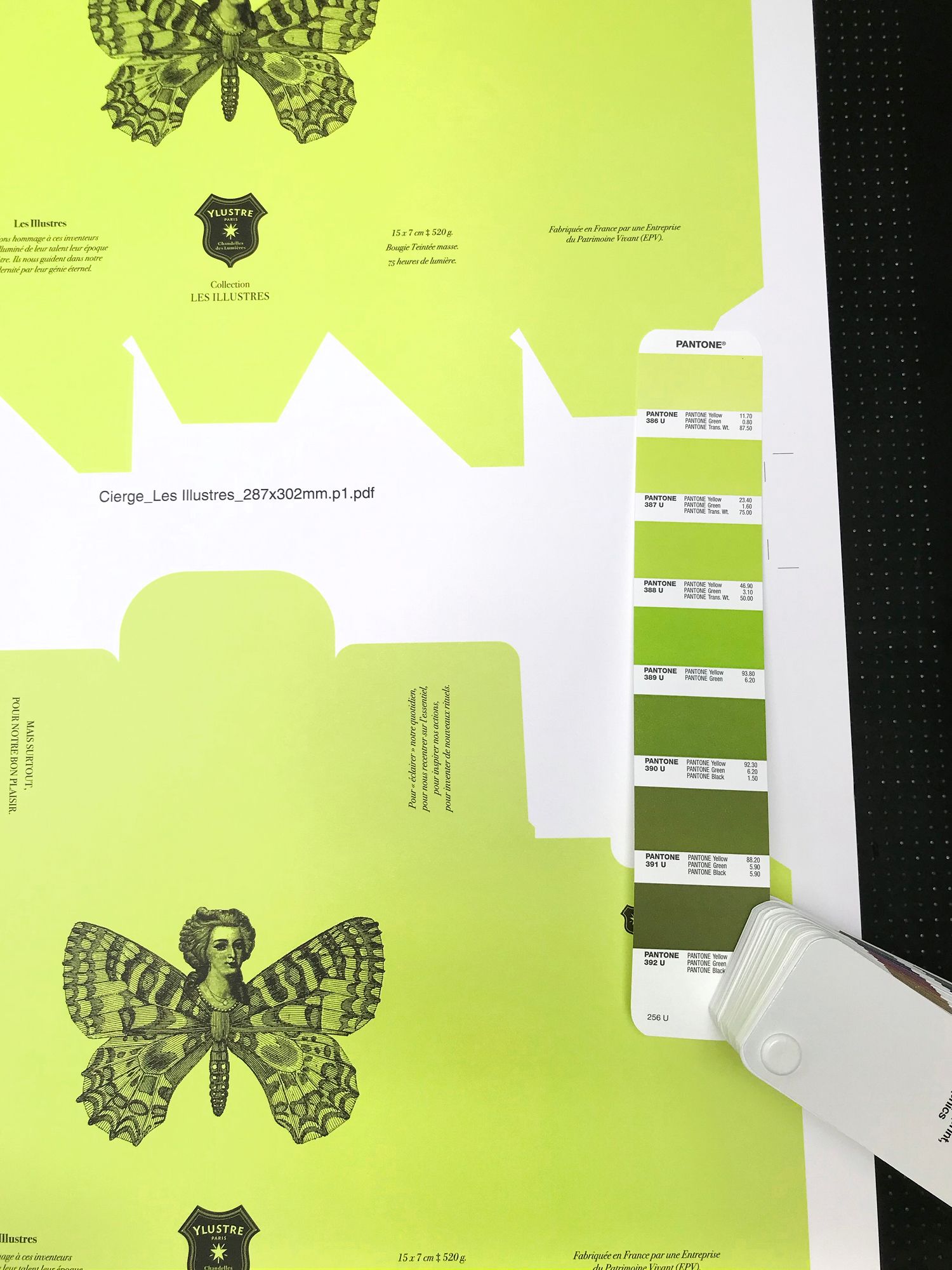 Ylustre - Plateforme visuelle, logotype, territoire, packaging, direction de creation - Laurent Muller, Brand identity