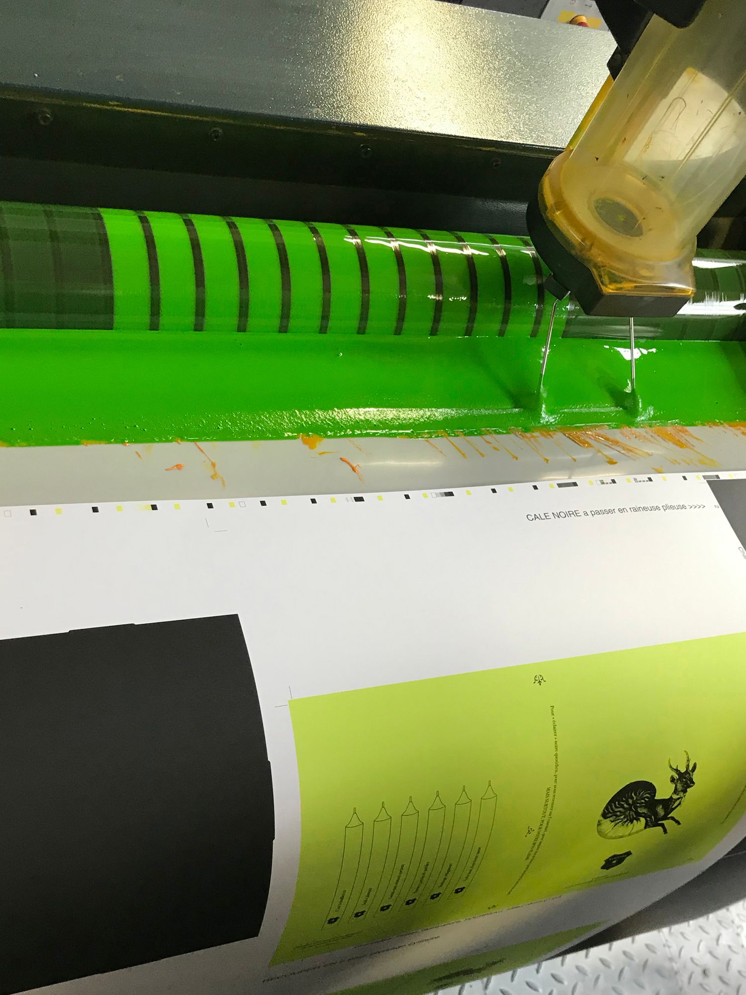 Ylustre - Plateforme visuelle, logotype, territoire, packaging, direction de creation - Laurent Muller, Brand identity