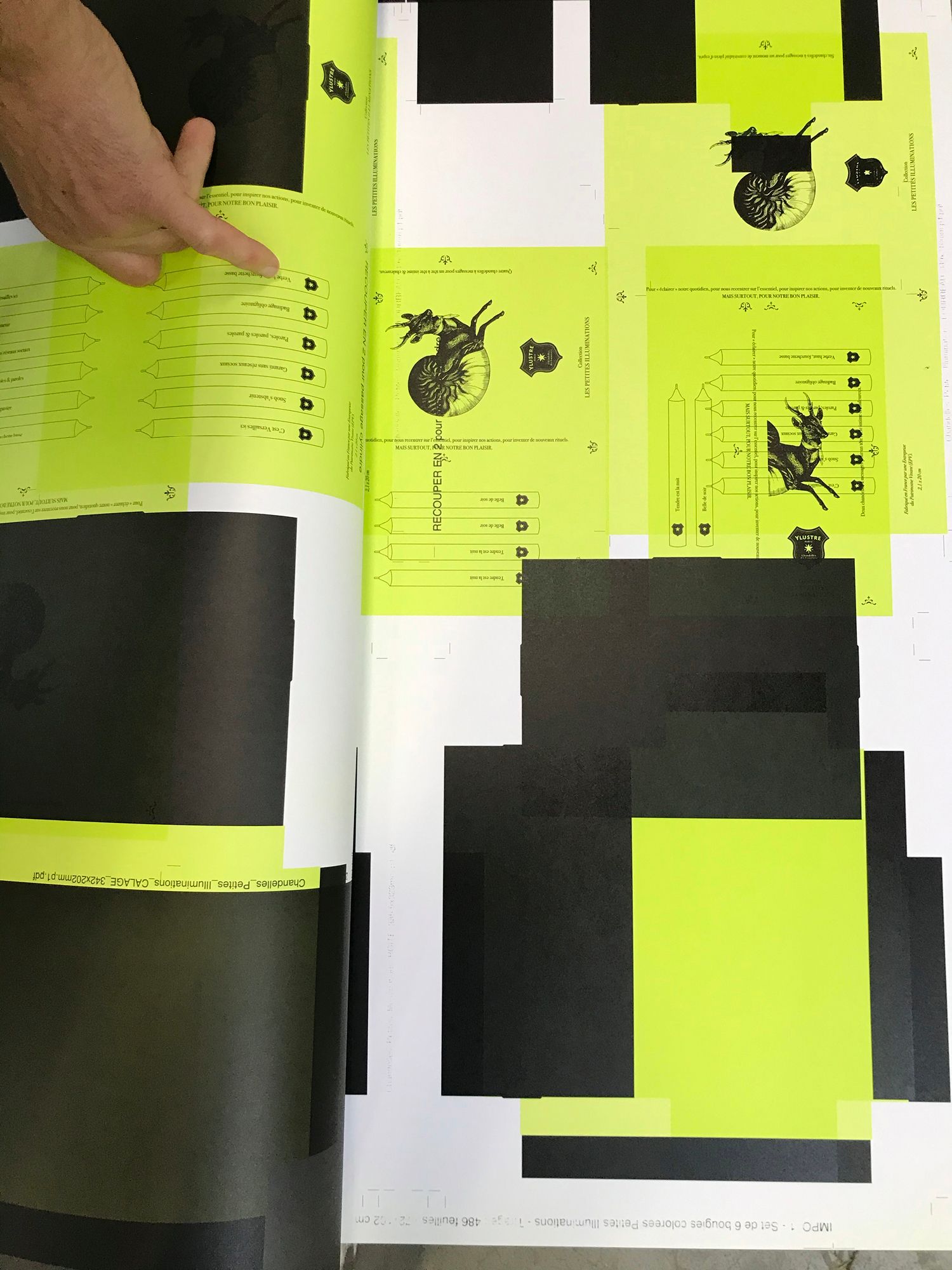 Ylustre - Plateforme visuelle, logotype, territoire, packaging, direction de creation - Laurent Muller, Brand identity