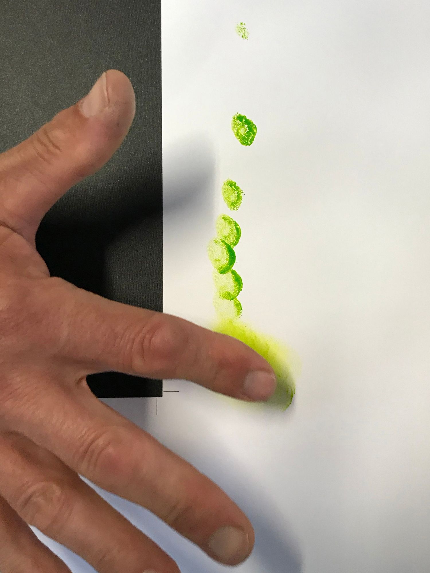 Ylustre - Plateforme visuelle, logotype, territoire, packaging, direction de creation - Laurent Muller, Brand identity