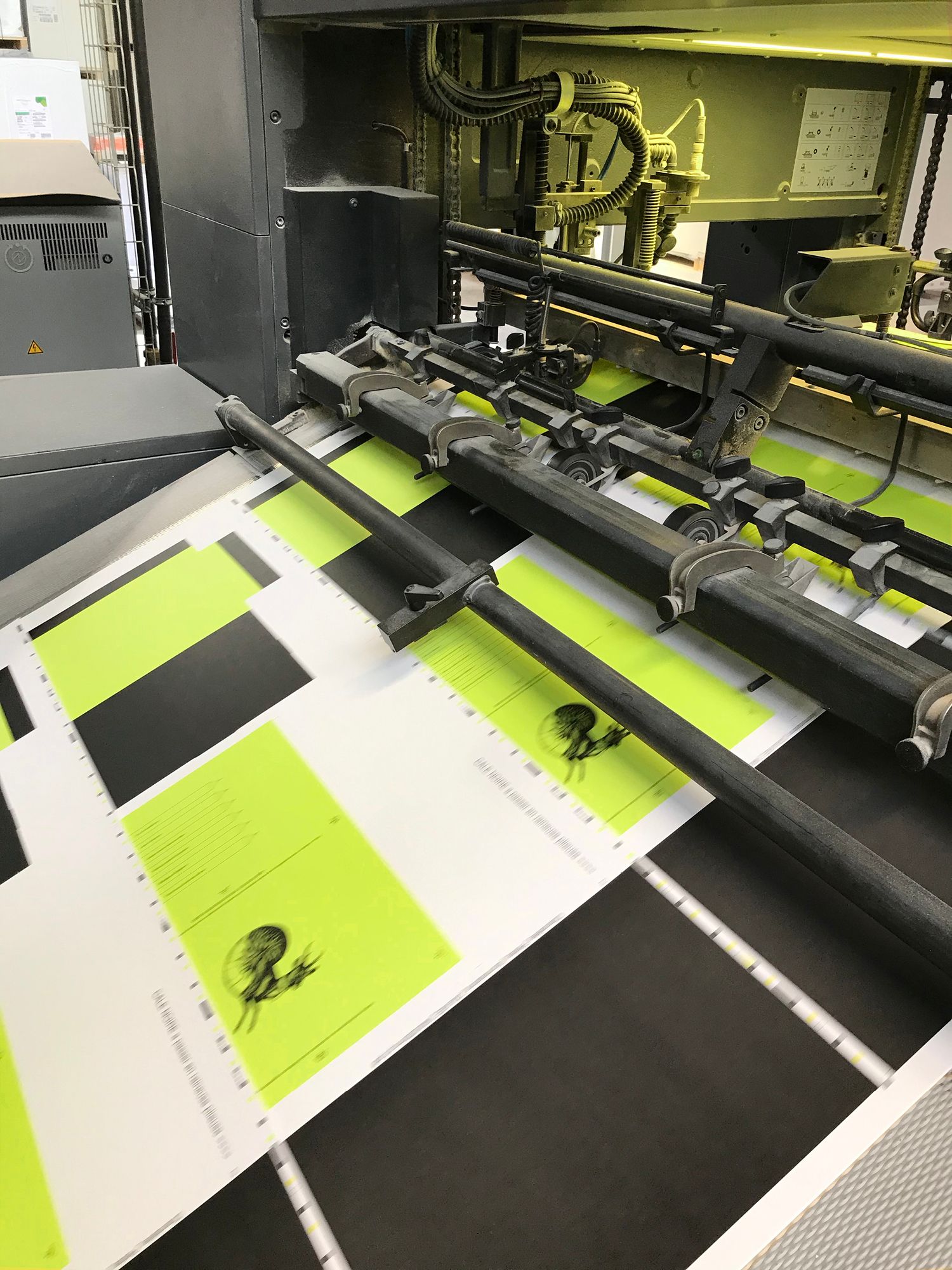 Ylustre - Plateforme visuelle, logotype, territoire, packaging, direction de creation - Laurent Muller, Brand identity